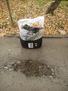 Фото покупателя